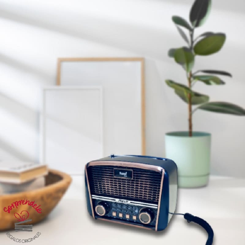 MIni radio altavoz solar
