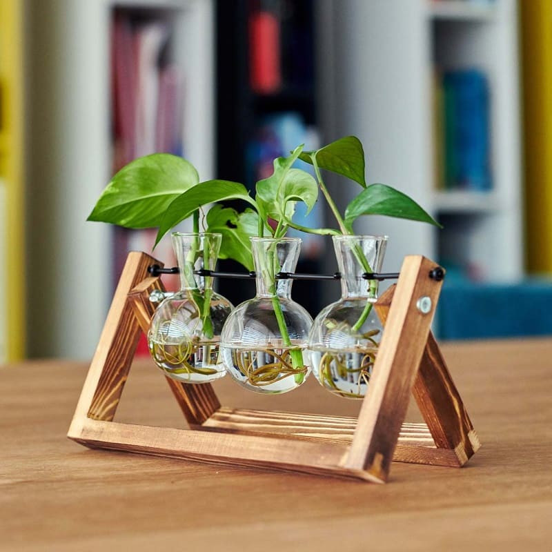 Estación de propagación triple para plantas