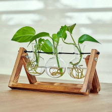 Estación de propagación triple para plantas