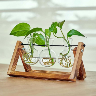 Estación de propagación triple para plantas