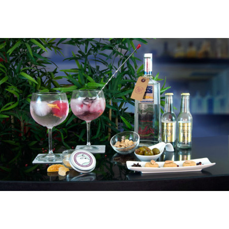 Caja gourmet gin tonic - Regalos para sibaritas