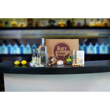 Caja gourmet gin tonic - Regalos para sibaritas