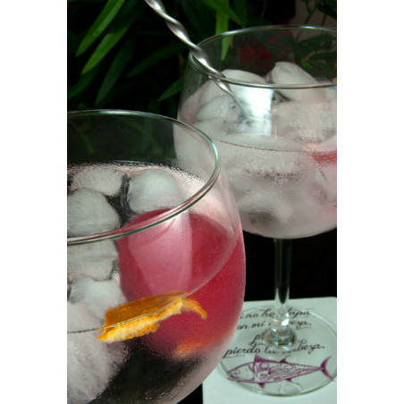Caja gourmet gin tonic - Regalos para sibaritas