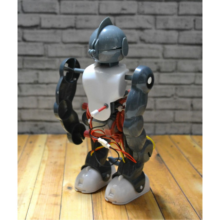 ROBOT PIRUETO