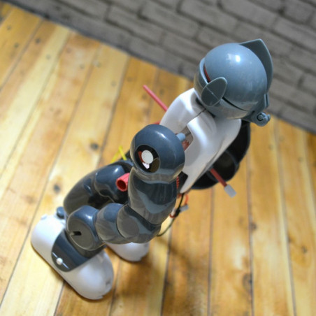 ROBOT PIRUETO