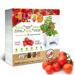 KIT DE CULTIVO TOMATE CHERRY