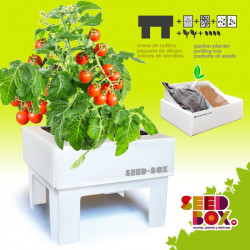 KIT DE CULTIVO TOMATE CHERRY