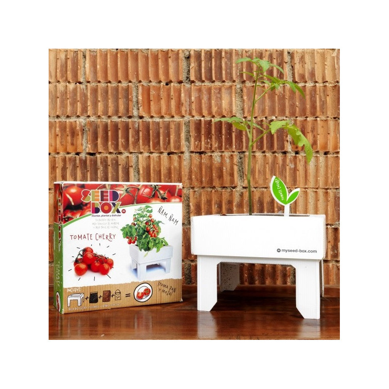 KIT DE CULTIVO TOMATE CHERRY