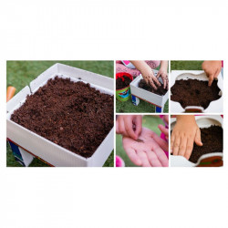 KIT DE CULTIVO PARA NIÑOS TOMATES Y BROTES