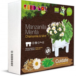 Imagén: KIT DE CULTIVO MANZANILLA Y MENTA