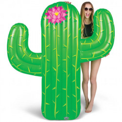 Imagén: FLOTADOR CACTUS