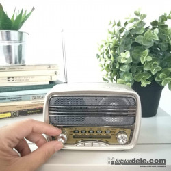 RADIO ALTAVOZ PORTÁTIL