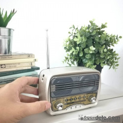 RADIO ALTAVOZ PORTÁTIL