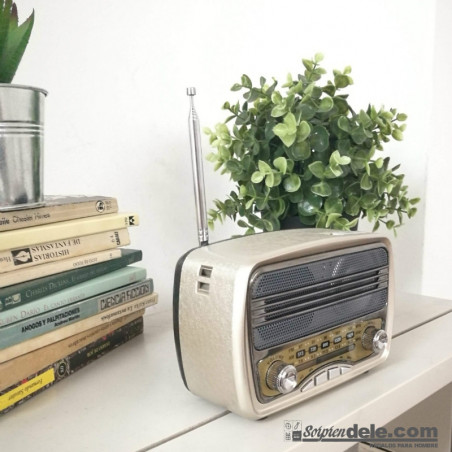 RADIO ALTAVOZ PORTÁTIL
