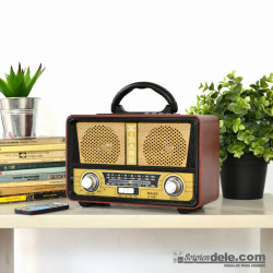 RADIO ALTAVOZ RETRO VINTAGE