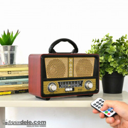 RADIO ALTAVOZ RETRO VINTAGE