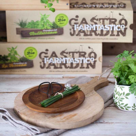 KIT DE CULTIVO ECOLÓGICO