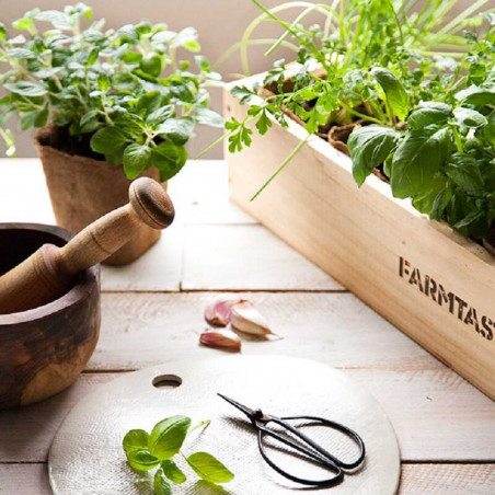 KIT DE CULTIVO ECOLÓGICO