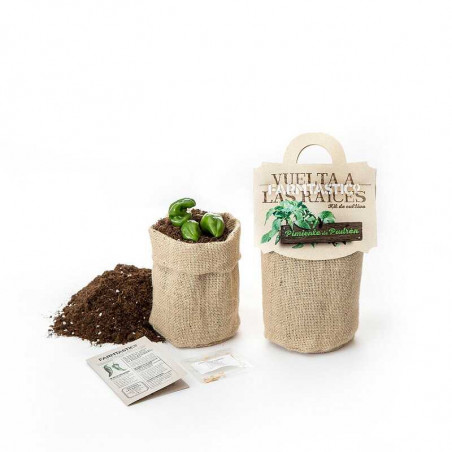 KIT DE CULTIVO PIMIENTOS DEL PADRÓN