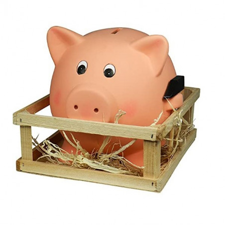 HUCHA CERDITO CON MARTILLO