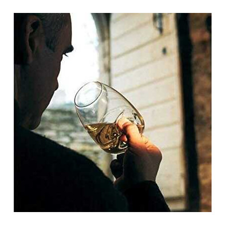 VASO CATADOR DE VINO "LE TASTER"