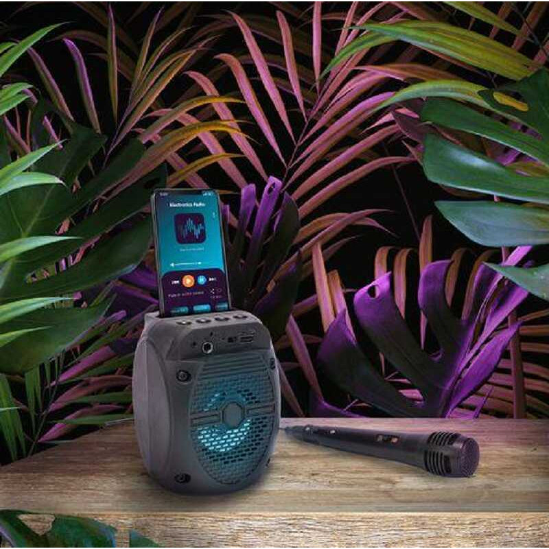 Altavoz inalámbrico karaoke con micrófono Altavoz inalámbrico karaoke con micrófono