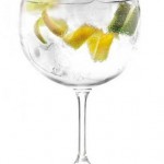 Preparación de un estupendo Gin Tonic