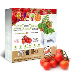 kit cultivo tomate cherry