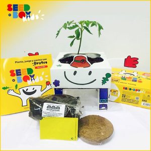 kit de cultivo para niños